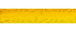 ☀️ verão promocional